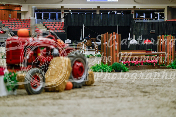 2025 - Haylee - Royal West - Tuesday October 21st - 03785