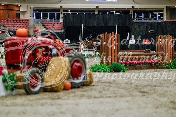 2025 - Haylee - Royal West - Tuesday October 21st - 03788