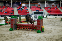 2025 - Haylee - Royal West - Tuesday October 21st - 09324