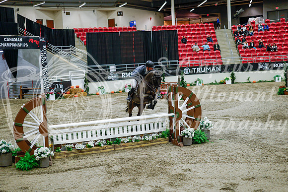 2025 - Haylee - Royal West - Tuesday October 21st - 09348