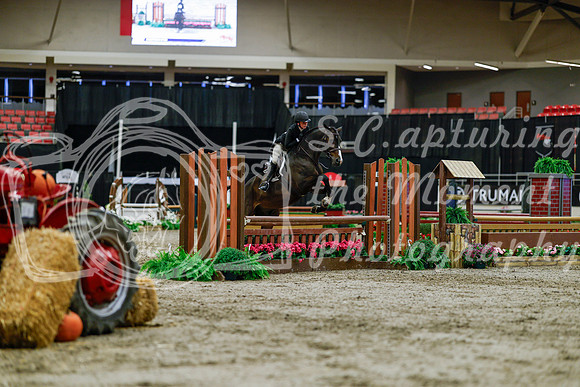 2025 - Haylee - Royal West - Tuesday October 21st - 05234