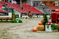 2025 - Haylee - Royal West - Tuesday October 21st - 04004