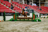 2025 - Haylee - Royal West - Tuesday October 21st - 04009