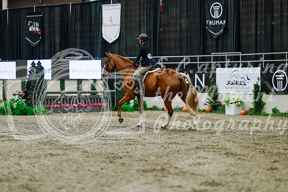 2025 - Haylee - Royal West - Tuesday October 21st - 04017