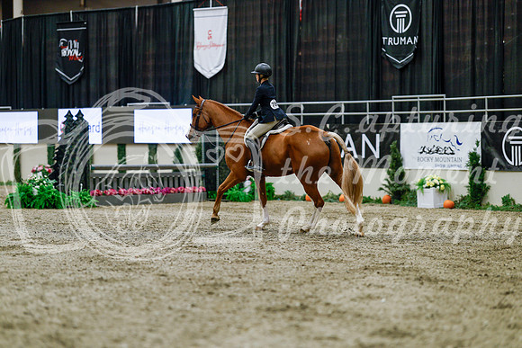 2025 - Haylee - Royal West - Tuesday October 21st - 04018