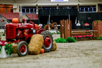 2025 - Haylee - Royal West - Tuesday October 21st - 04022