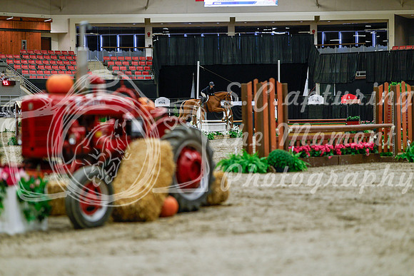 2025 - Haylee - Royal West - Tuesday October 21st - 04023