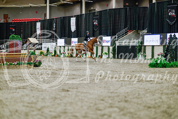 2025 - Haylee - Royal West - Tuesday October 21st - 04025