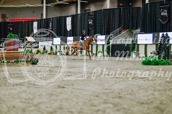2025 - Haylee - Royal West - Tuesday October 21st - 04026