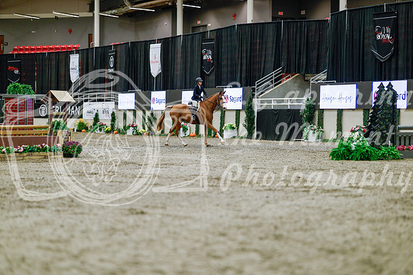 2025 - Haylee - Royal West - Tuesday October 21st - 04029
