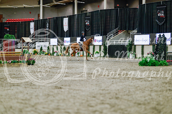 2025 - Haylee - Royal West - Tuesday October 21st - 04028