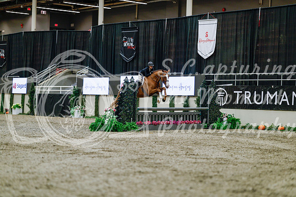 2025 - Haylee - Royal West - Tuesday October 21st - 04034