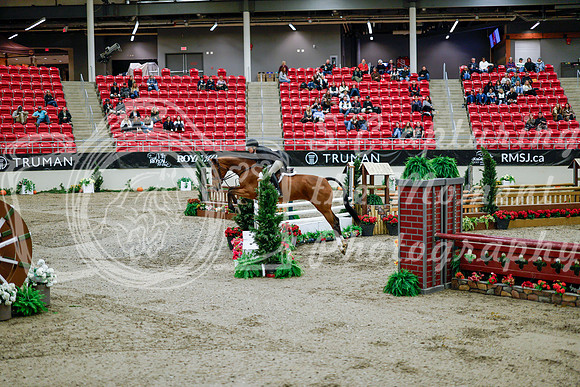 2025 - Haylee - Royal West - Tuesday October 21st - 09035