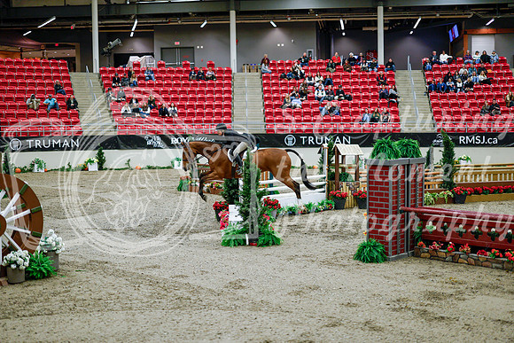 2025 - Haylee - Royal West - Tuesday October 21st - 09038