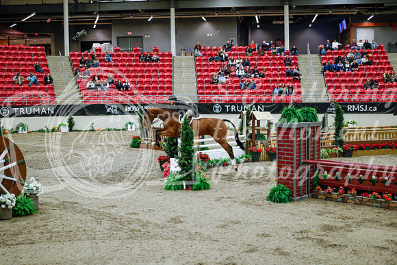 2025 - Haylee - Royal West - Tuesday October 21st - 09036