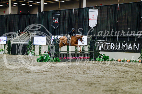 2025 - Haylee - Royal West - Tuesday October 21st - 04040