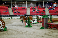 2025 - Haylee - Royal West - Tuesday October 21st - 09039