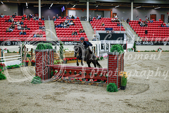 2025 - Haylee - Royal West - Tuesday October 21st - 09060