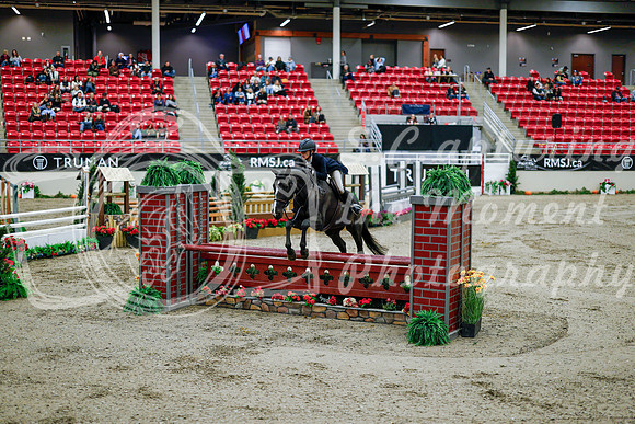 2025 - Haylee - Royal West - Tuesday October 21st - 09062