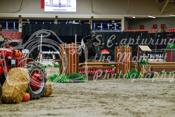 2025 - Haylee - Royal West - Tuesday October 21st - 05461