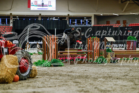 2025 - Haylee - Royal West - Tuesday October 21st - 05464