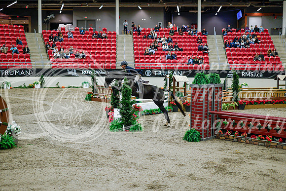 2025 - Haylee - Royal West - Tuesday October 21st - 09069