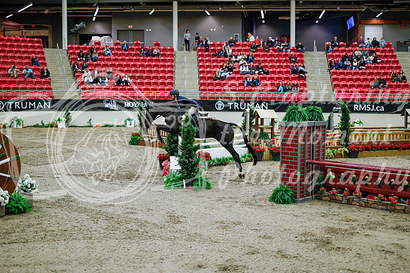 2025 - Haylee - Royal West - Tuesday October 21st - 09071