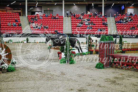 2025 - Haylee - Royal West - Tuesday October 21st - 09075