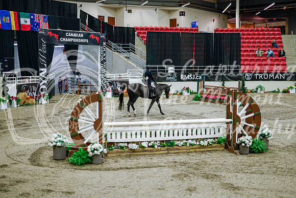 2025 - Haylee - Royal West - Tuesday October 21st - 09084