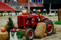 2025 - Haylee - Royal West - Tuesday October 21st - 05519