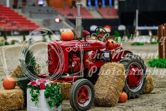2025 - Haylee - Royal West - Tuesday October 21st - 05518