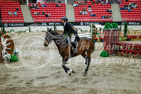 2025 - Haylee - Royal West - Tuesday October 21st - 09446