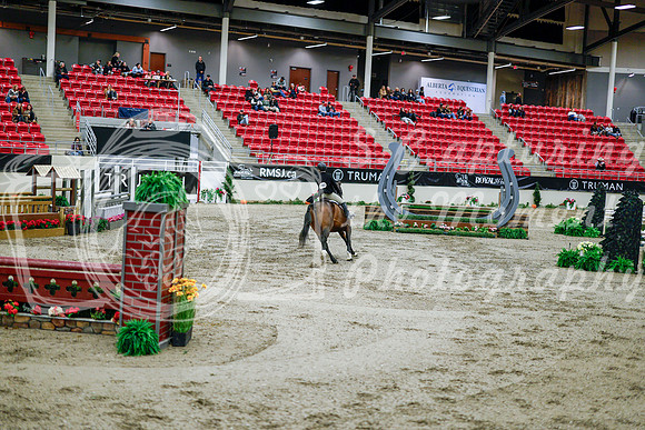 2025 - Haylee - Royal West - Tuesday October 21st - 09459