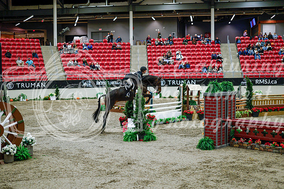 2025 - Haylee - Royal West - Tuesday October 21st - 09379