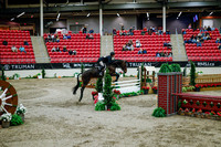 2025 - Haylee - Royal West - Tuesday October 21st - 09380