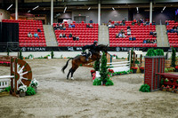 2025 - Haylee - Royal West - Tuesday October 21st - 09454