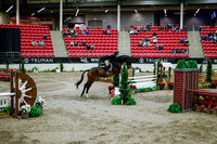 2025 - Haylee - Royal West - Tuesday October 21st - 09455