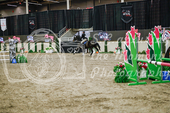2025 - Haylee - Royal West - Wednesday October 22nd - 00160