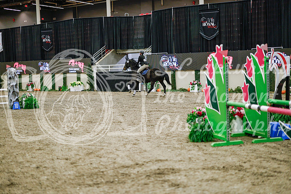 2025 - Haylee - Royal West - Wednesday October 22nd - 00157