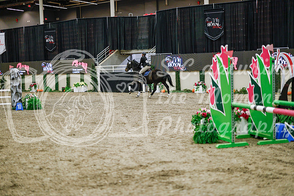 2025 - Haylee - Royal West - Wednesday October 22nd - 00158