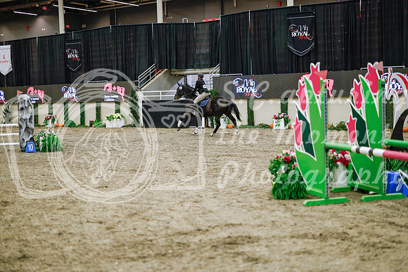 2025 - Haylee - Royal West - Wednesday October 22nd - 00159