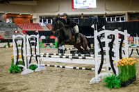 2025 - Haylee - Royal West - Wednesday October 22nd - 00164
