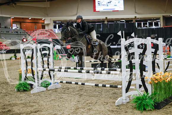 2025 - Haylee - Royal West - Wednesday October 22nd - 00166