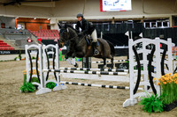 2025 - Haylee - Royal West - Wednesday October 22nd - 00168