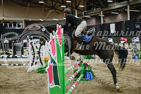 2025 - Haylee - Royal West - Wednesday October 22nd - 00183