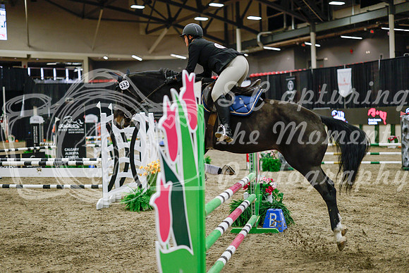 2025 - Haylee - Royal West - Wednesday October 22nd - 00185