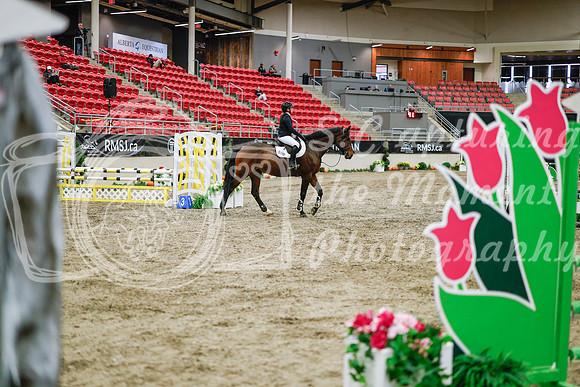 2025 - Haylee - Royal West - Wednesday October 22nd - 00414