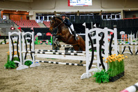 2025 - Haylee - Royal West - Wednesday October 22nd - 00417