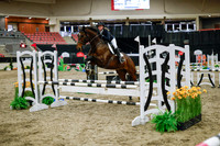 2025 - Haylee - Royal West - Wednesday October 22nd - 00418