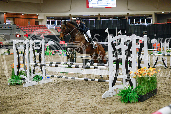2025 - Haylee - Royal West - Wednesday October 22nd - 00418